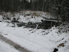 IMG 8027.JPG
