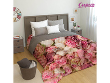 01134 ����������