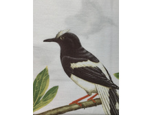 �qu�zurr� 4.jpg