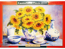 ���� "����������" 2000 ��. 699 ���.