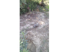 2017-10-23 14-02-26.JPG