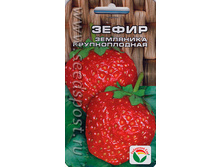 �������� ����� 10�� ��� ��� 18,90 ���.. [���.9000300]