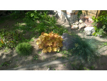 WP 20170628 10 57 06 Pro.jpg