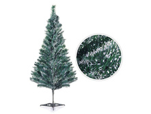 ��� � ����� ���������� �� ���������.