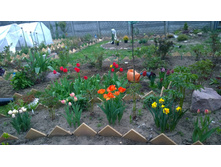 WP 20170520 19 46 18 Pro.jpg