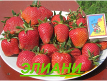 ��������� ������ ������ ���, 50���. (�������� 23��) .jpg