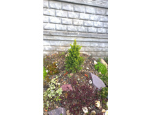 WP 20170514 16 33 47 Pro  highres.jpg