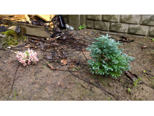 WP 20170508 12 00 45 Pro.jpg