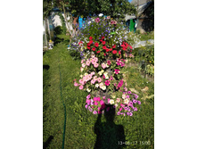 IMG 20170813 150056.jpg