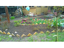 WP 20170508 11 52 01 Pro.jpg