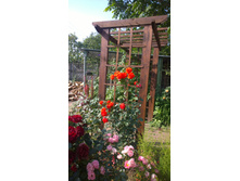 WP 20170820 09 41 38 Pro  highres.jpg