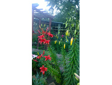 WP 20170728 20 23 10 Pro.jpg