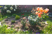 WP 20170820 09 46 10 Pro.jpg