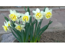 WP 20170504 19 46 03 Pro.jpg