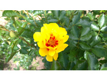 WP 20170630 11 58 55 Pro.jpg