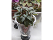 IMG 20170708 230421.jpg