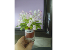 ������ �����������. ����������� �.����������