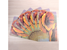 ����� �������� �������� 6 �� "��������. ����" 43�28 �� ������; �����; 43 �� × 28 ��; ������������; � ����� 100 �������. ���.: 1694763