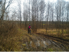 P 20171118 092322.jpg