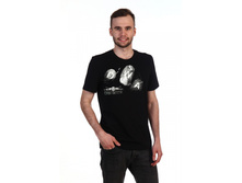 No�59 ��������