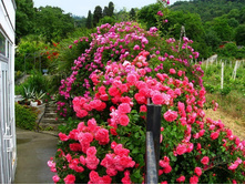 ���� ��������� ���� �������� ������� � �������  180�