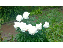 WP 20170701 15 20 36 Pro.jpg