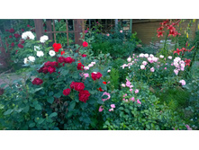 WP 20170728 20 25 31 Pro.jpg