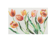 �������� �������� "��������" 45�30 �� �����; 45 �� × 30 �� × 0,1 ��; �������; � ����� 360 ��. ���.: 1560925