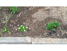 WP 20170502 18 42 46 Pro.jpg