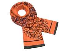 ���� 003750b 11 36.jpg