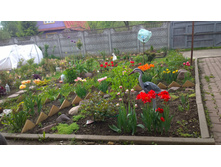 WP 20170527 09 50 36 Pro.jpg