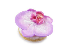 ���� ������ ������ "�������" (����.) 114,00 ���. ���: 100 �