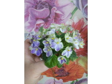 Mac's Momentary Meltdown