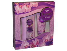 ���������� ������ ������� ����� ������� Orchid(������� 250+���� ��� ��� 75) 165,2.jpg