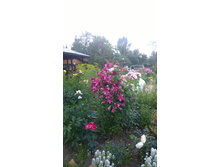 WP 20170811 16 51 45 Pro  highres.jpg