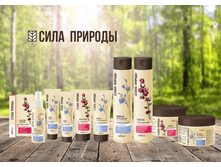 ���� �������