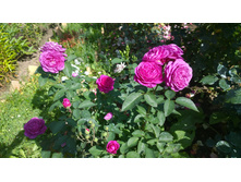 WP 20170804 09 36 55 Pro.jpg