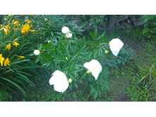 WP 20170701 15 20 01 Pro.jpg