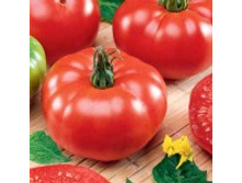 ����� �������� VF 9,10