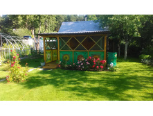 P 20170716 074210.jpg