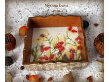 ���������� "��������"