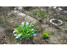 WP 20170423 13 13 18 Pro.jpg