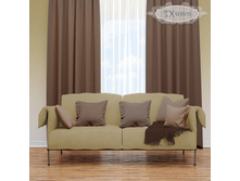 ���� ����������