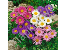 ����� ���������� ����������� 0,125� ��� ��� �� 12,00 ���.[���.��000005207]