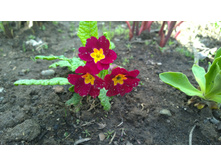 WP 20170521 16 18 20 Pro.jpg