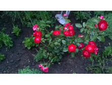 WP 20170719 20 56 39 Pro.jpg