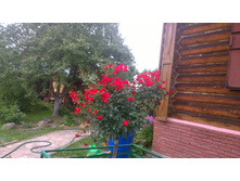 WP 20170730 10 47 35 Pro  highres.jpg