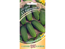 ������ ��������� F1 10�� ������ 10,10 ���.. [���.10000392]