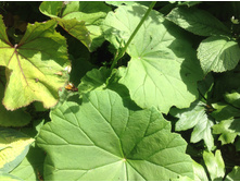 ������������