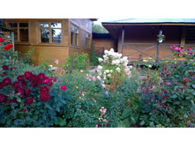 WP 20170910 09 08 17 Pro.jpg